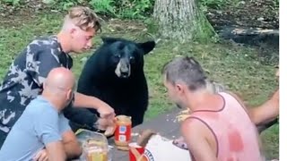 Медведь Увидел Веселую Компанию И Присоеденился К Ним В Лесу.