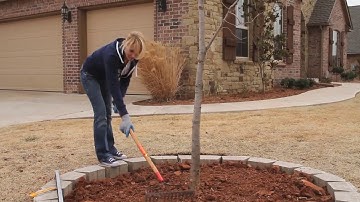 Pavestone Tree Ring 2.1 Generic - Preview v1 (2011-02-22)