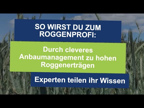 «So wirst du zum Roggenprofi: Durch cleveres Anbaumanagement zu hohen Roggenerträgen»