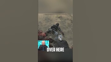 Swiftor Says hey you!