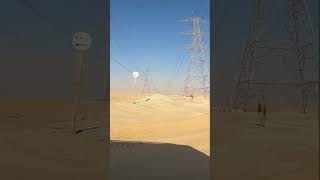 Одинокий верблюд под ЛЭП в пустыне #Dubai 🇦🇪