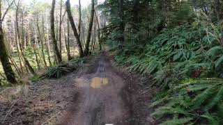 Browns camp OHV Diamond hill climbs. Tillamook national forest.