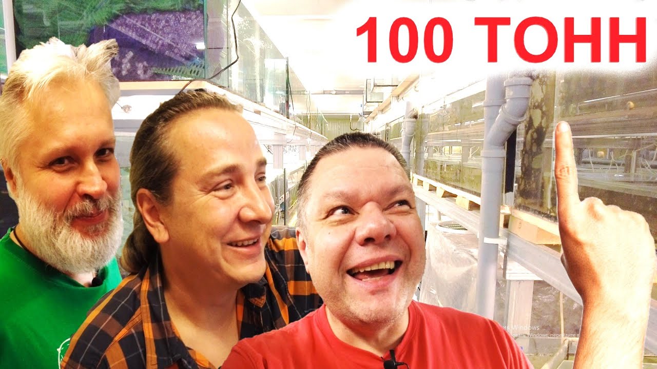 100 тонн аквариумистики в Яхроме - YouTube