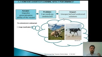 The Problem of Shortcuts in Deep Learning