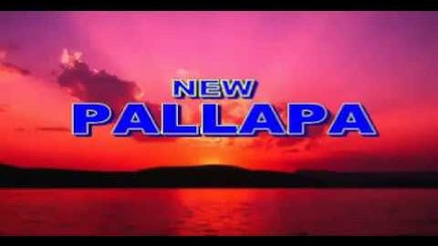 NEW PALLAPA | PUTUS CINTA - GERRY MAHESA