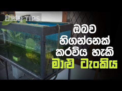 නිවසේ ඇති මාළු ටැංකියට ඔබව හිගන්නෙක් කල හැකි බව ඔබ දන්නවද..? | Vastu Tips for Fish Aquarium in Home