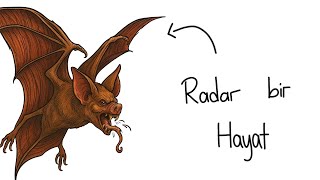 Eğer Bir Yarasa Olarak Doğsaydın? Resimi