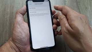 how to enable data roaming on the iphone | iphone11 #turnroamingon