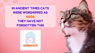 In ancient times cats were worshipped as gods; they have not forgotten this by ArmaCats 67 views 2 months ago 4 minutes, 43 seconds