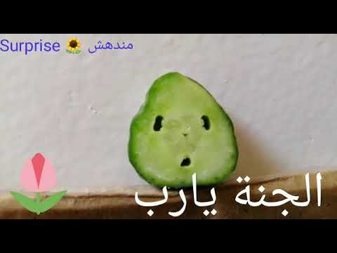 سبحان الله وجه مندهش على شريحة خيار 