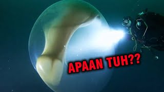 TELUR ALIEN BENDA MISTERIUS TENGKORAK DI DASAR SUNGAI