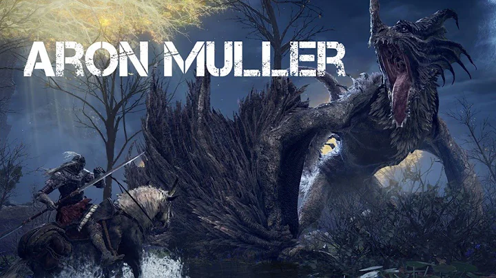 DIRIO DE AARON MULLER - 4/10
