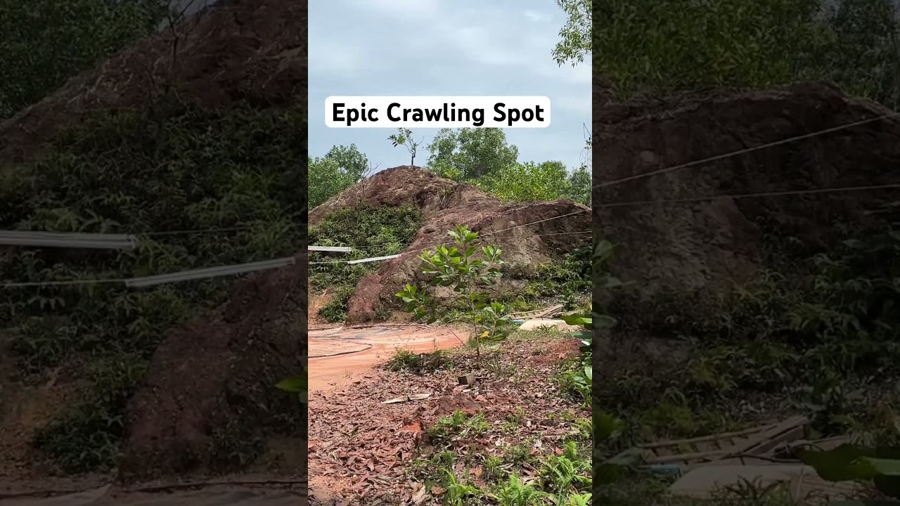 Famous Crawling Spot in Klang Valley #lcgrccrawler #bhp #likesharesubscribe
