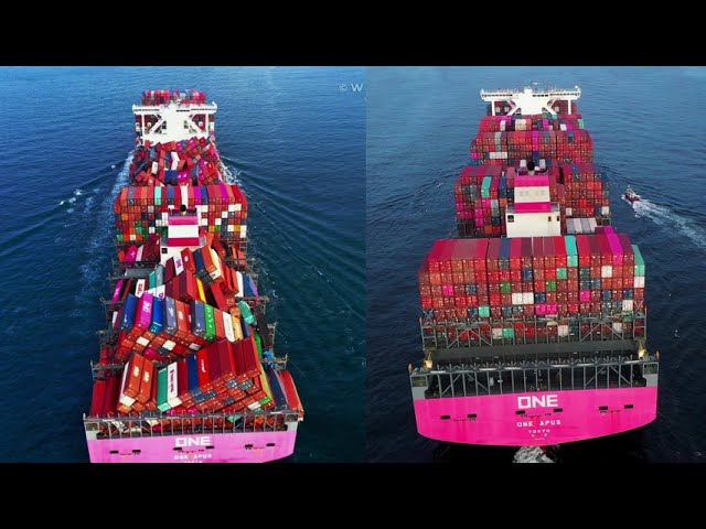 ONE APUS, Container Ship - Details and current position - IMO