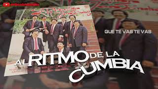 La Rebelion De Teo Sanchez - Que te vas te vas