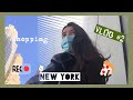 VLOG #2 / Жизнь после программы au pair / Немноголюдный Нью-Йорк и дорога в Чикаго на Greyhound