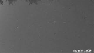 Star cam live 8/22-23/26