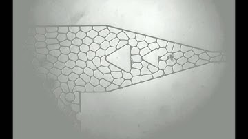 High-throughput screening of filamentous fungi using nanoliter-range droplet-based microfluidics