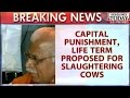 Haryana Govt Plans Beef