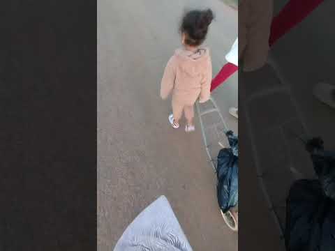 اليوم مع البرد وجدت نصل للطير