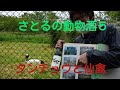タンチョウ(サルルンカムイ、アイヌ語で湿原の守り神)と仙禽(栃木の日本酒)鶴公園で🐤さとるの動物酒5