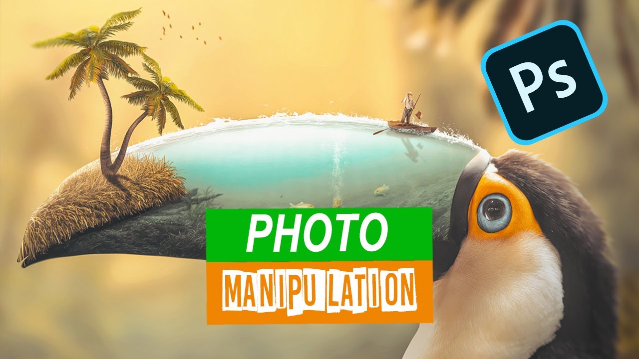 Toucan surreal art photo manipulation