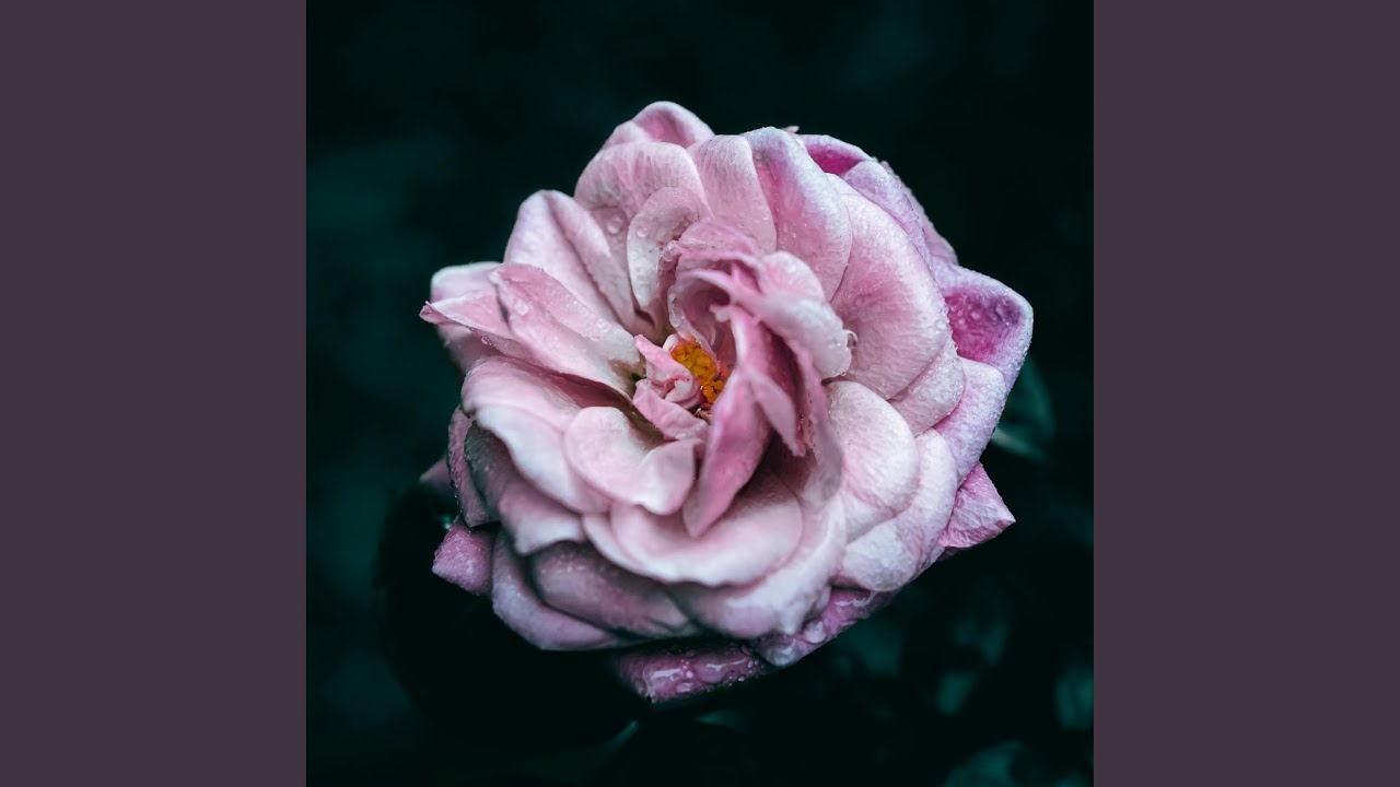 Die inside auf YouTube ansehen Die inside auf YouTube ansehen