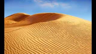 Sahih Muslim   Introduction - Audiobook screenshot 5