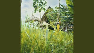 Download Lagu heopopit MP3