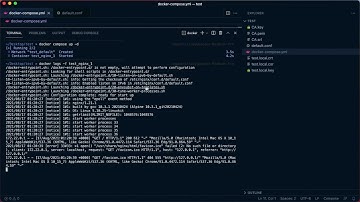 Self Signed SSL - Introduction