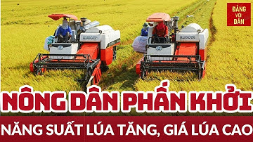 Thắng lợi kép từ vụ lúa năm 2023 | Điểm báo ngày 28/9 | Đảng với Dân