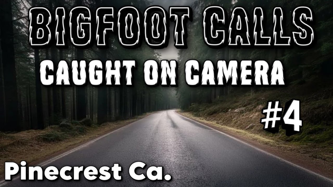 Bigfoot Sounds Caught On Camera | Pinecrest Ca 2021