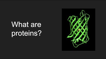 Introduction to Proteins: Structure, Function, Evolution
