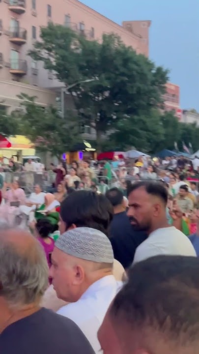 pakistan independence day brooklyn mela