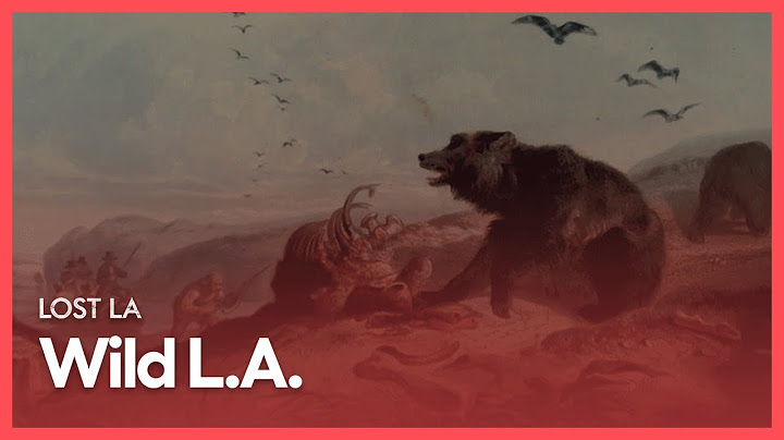 Wild L.A. | Lost LA | Season 1, Episode 1 | PBS SoCal