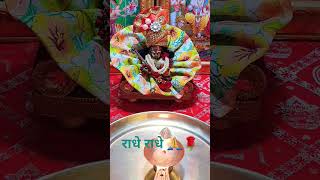 short/shorts/kanha ji/radha krishna/daily darshan/kanha ji Darshan/laddu gopal/