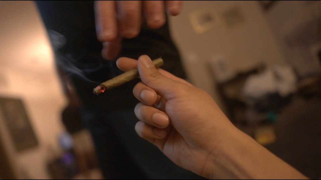 A CLASSIC KING PALM SESH