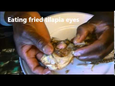 Some Bizarre Eats: Eating A Fried Tilapia Fish Head And Otoliths