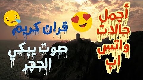 اجمل حالات واتس اب || قران كريم || صوت يبكي الحجر