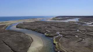 Drone on Cape Cod