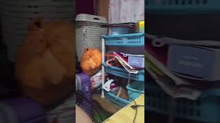 Ang Gulo Ng Table #fypシ゚viral