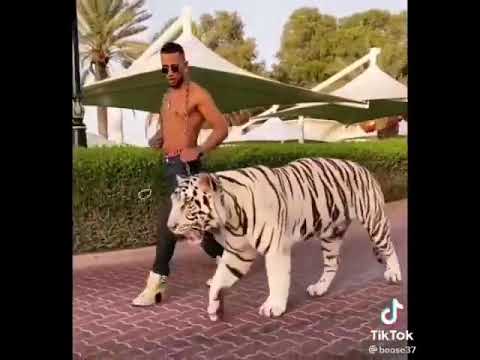 اديني رمضان