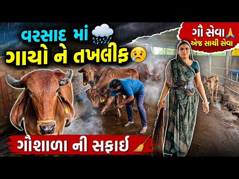 ગૌશાળા માં ગાયો ને કેમ તખલીફ | વરસાદે તો ભારે કરી | Village alife Daksha Ahir 