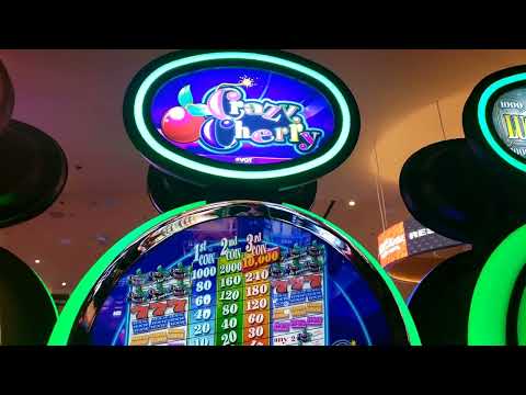 HOT SPOT Fun at Agua Caliente Casino - Cat City, CA