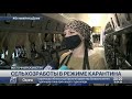 Доярки и трактористы ВКО вынуждены жить на работе Доярки и трактористы ВКО вынуждены жить на работе