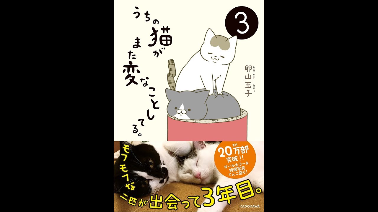 紹介】うちの猫がまた変なことしてる。3 （卵山 玉子） - YouTube
