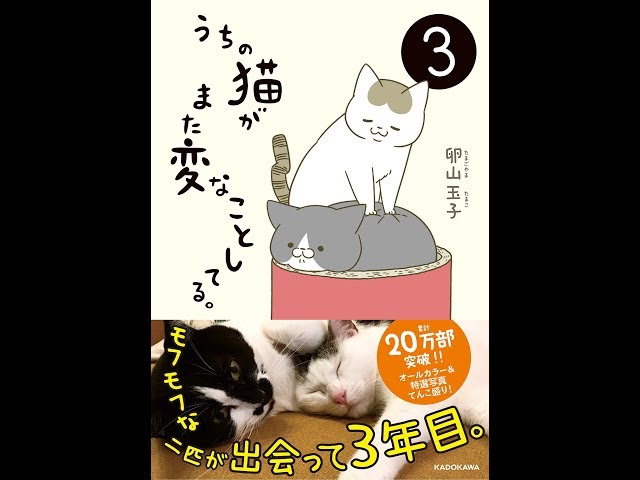 紹介】うちの猫がまた変なことしてる。3 （卵山 玉子） - YouTube