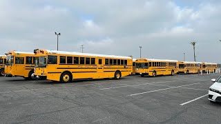 School Buses Line Up for Southern California CASTO Bus ROADEO