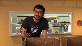 Virtual Field Trip — Animal Adaptations