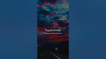 اكتب شيء تؤجر عليه 😴💚 / القارئ ياسر الدوسري | قران كريم
